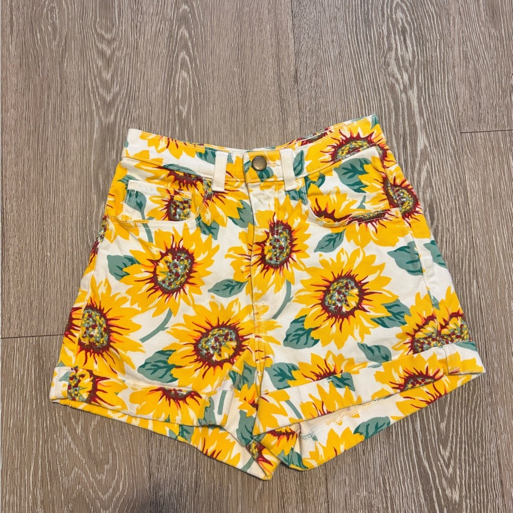 American Apparel size 24 High Waist Shorts